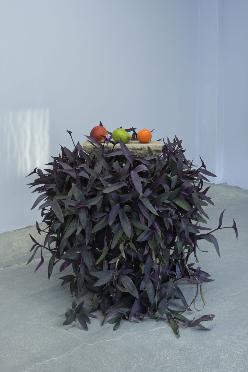 Natalie Perkof / Cabinet of Miniatures and Delight